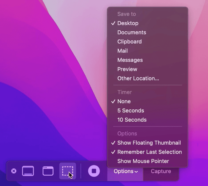 macos screen record options