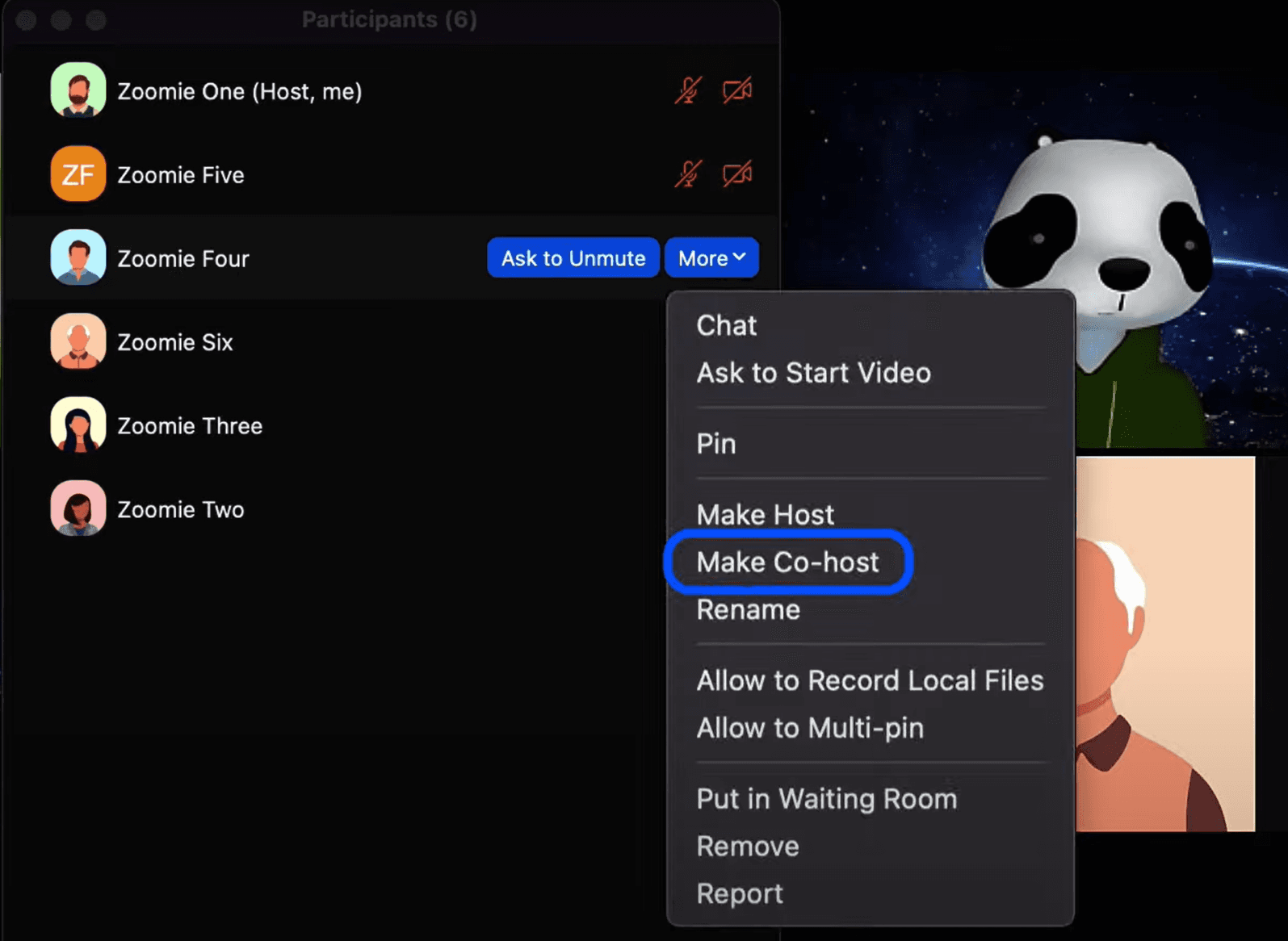 Zoom co host
